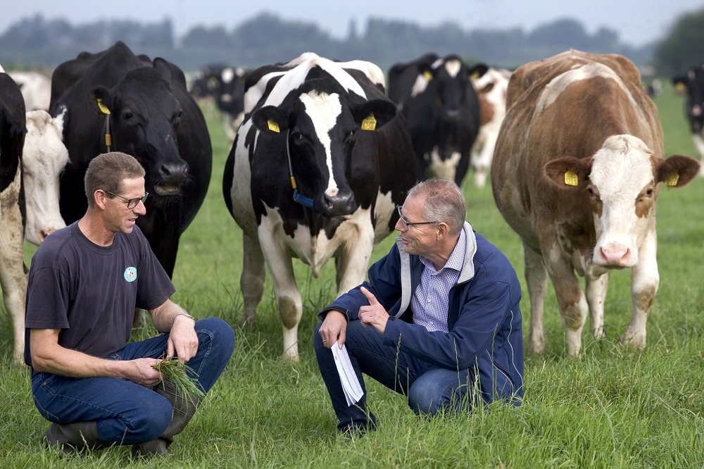 Optimaal melken met weidegang en melkrobot