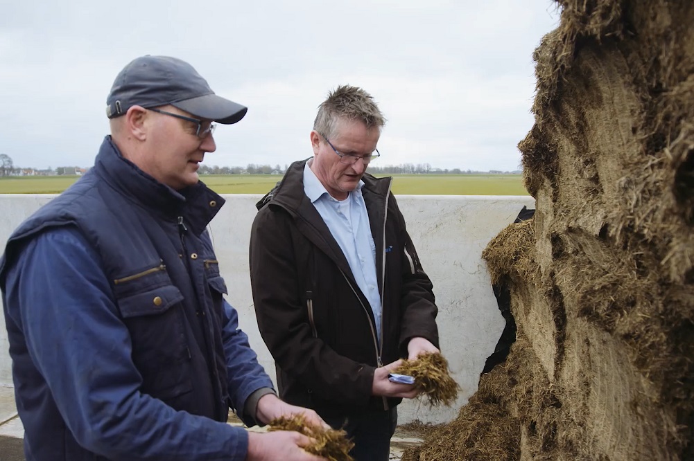 Topfitte koeien met Bonsilage - Ervaring melkveehouder Ron Prinsze