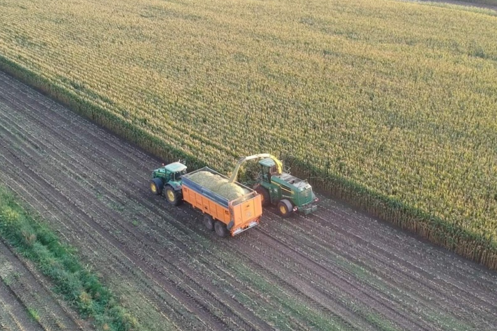 Beter verteerbaar zetmeel en meer beschikbaar zetmeel in de maiskuil geeft meer melk!