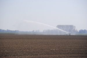 Beregeningsverbod overdag weinig effectief