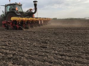 Preciezere landbouw voor toekomstbestendige maisteelt in Brabant