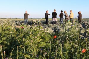 Team Agro NL: Ambtenaren gaan de boer op