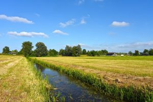 Meten grondwaterstand in strijd tegen bodemdaling