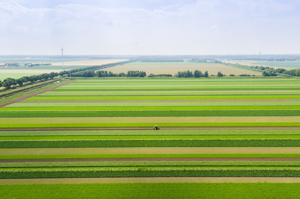 Agrarische grondprijs in derde kwartaal opnieuw gedaald