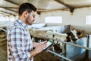 Dataplatform FarmTrace rolt grootschalig uit in Europa