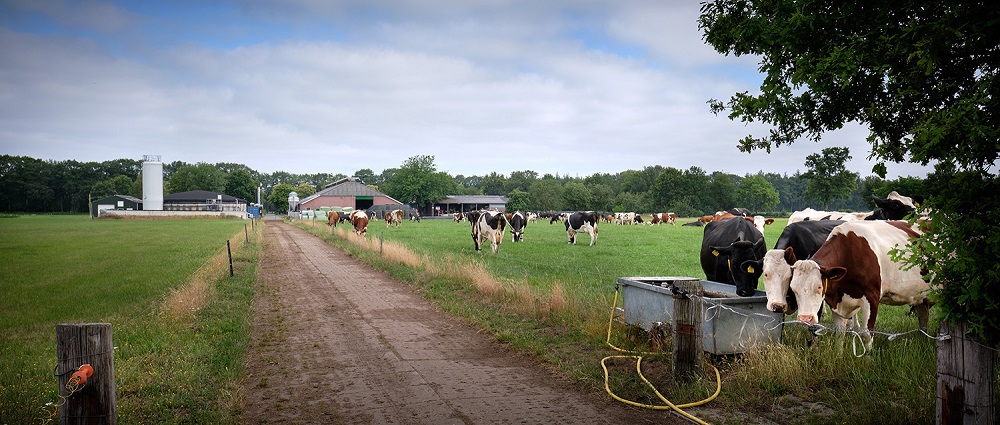 Wetenschap en boeren slaan handen ineen rond De Marke