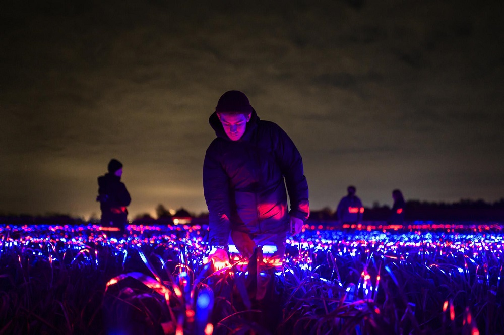 GROW: Daan Roosegaarde toont schoonheid landbouw met 20.000 m2 kunstwerk