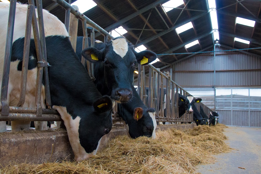 Iets meer stikstof en minder fosfaat in mest