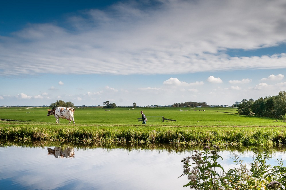 Rabobank presenteert toekomstvisie veenweidegebieden