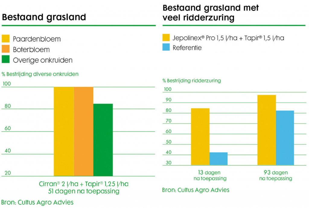 Onkruidbestrijding in grasland: Meer ruwvoer van eigen bodem 