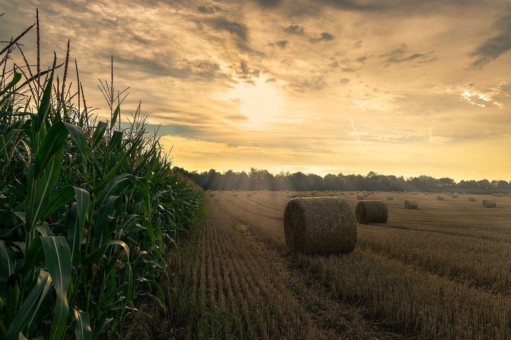 mondiale grondstofprijzen stijgen sterk