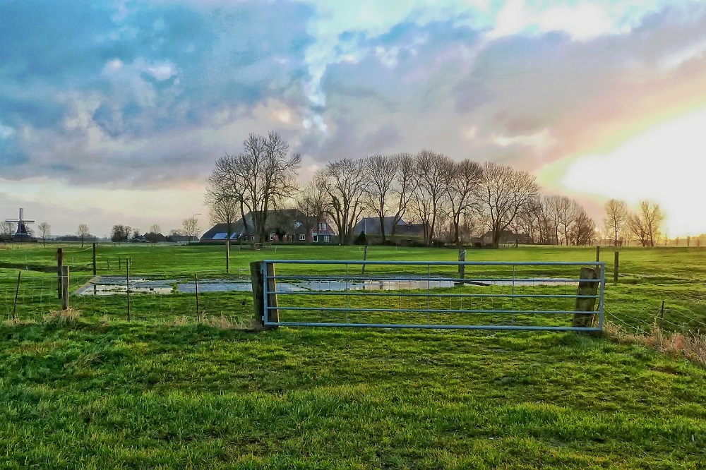 Opkoopregeling voor veehouderijbedrijven van start in Provincie Drenthe