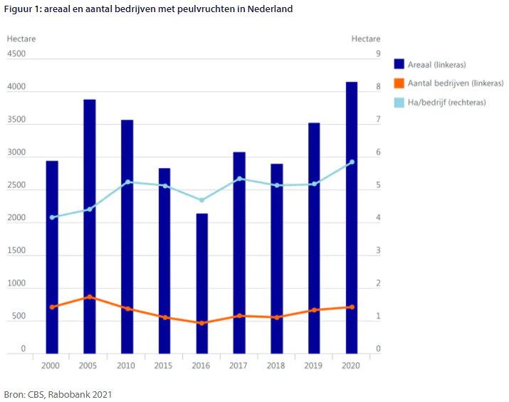 Peulvruchten in Nederland: kansen, maar nog niet klaar voor comeback