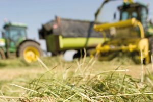 Focus op graskuiladditieven: Effectieve inkuilmiddelen afgewogen ingezet