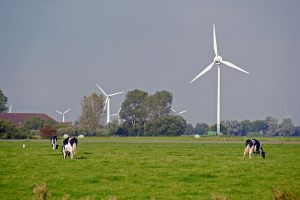 Doorbraak naar gezondere zuivel