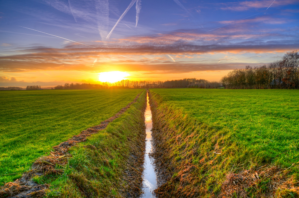 Verkenning Landbouwakkoord: sterke basis, verdieping nodig