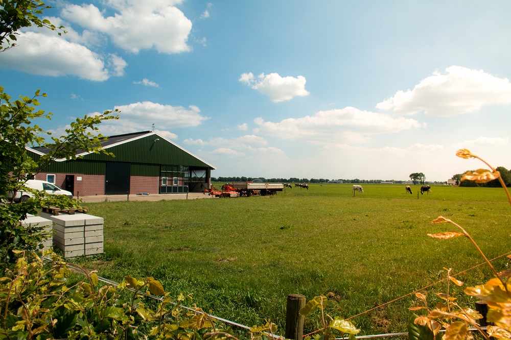 Breng nu je productierechten 2021 op orde