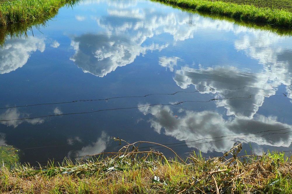 Wat is het toekomstperspectief van de Hoogwaterboerderij?