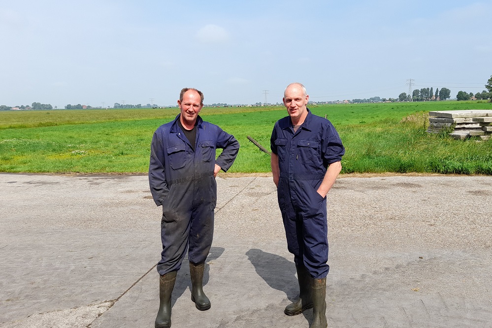 Hoe Jan en Meindert het aantal Salmonella besmettingen met 67% wisten terug te dringen