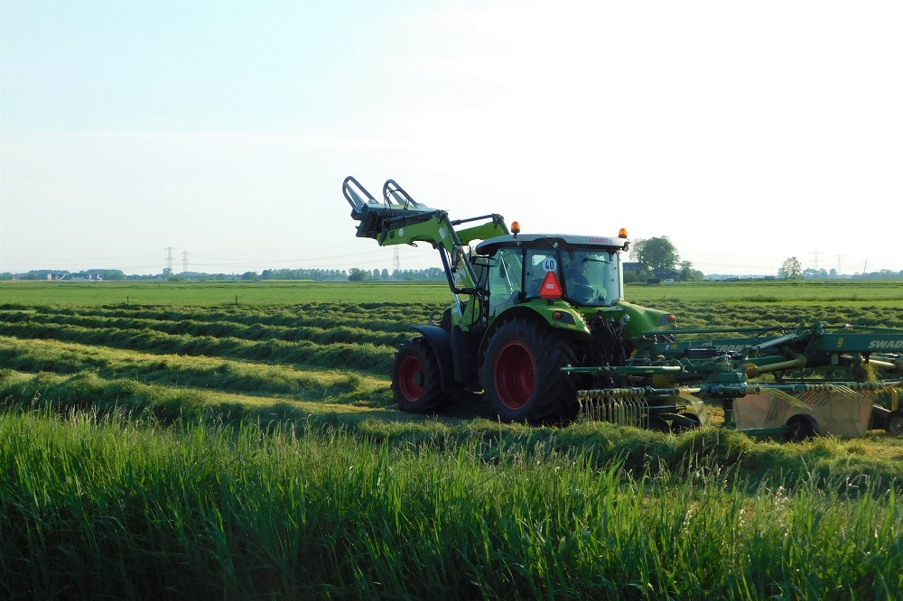 Najaar & wintervoerstrategie biologisch rundvee