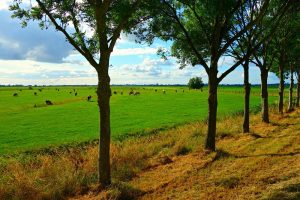 Agrarische grondprijs stijgt verder omhoog