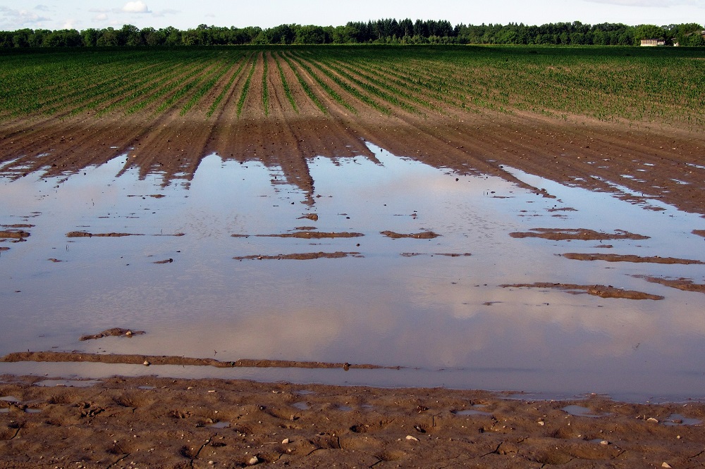 Meldpunt RVO voor schade hoogwater Limburg open