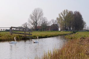 Nitraatuitspoeling naar het oppervlakte- en grondwater verminderen