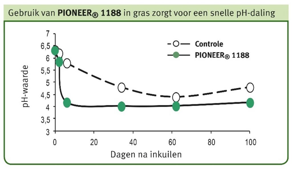 Maak van uw eiwitrijke herfstgras, een smakelijke kwaliteitskuil 