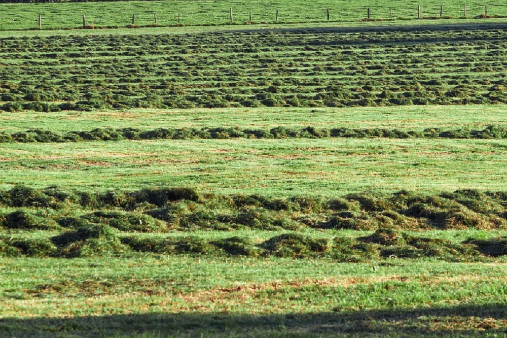 3 dingen waar je op moet letten bij een Farm Walk