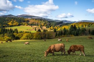 Al eens gedacht aan emigratie naar… Slowakije, volwaardig EU-land op rijafstand