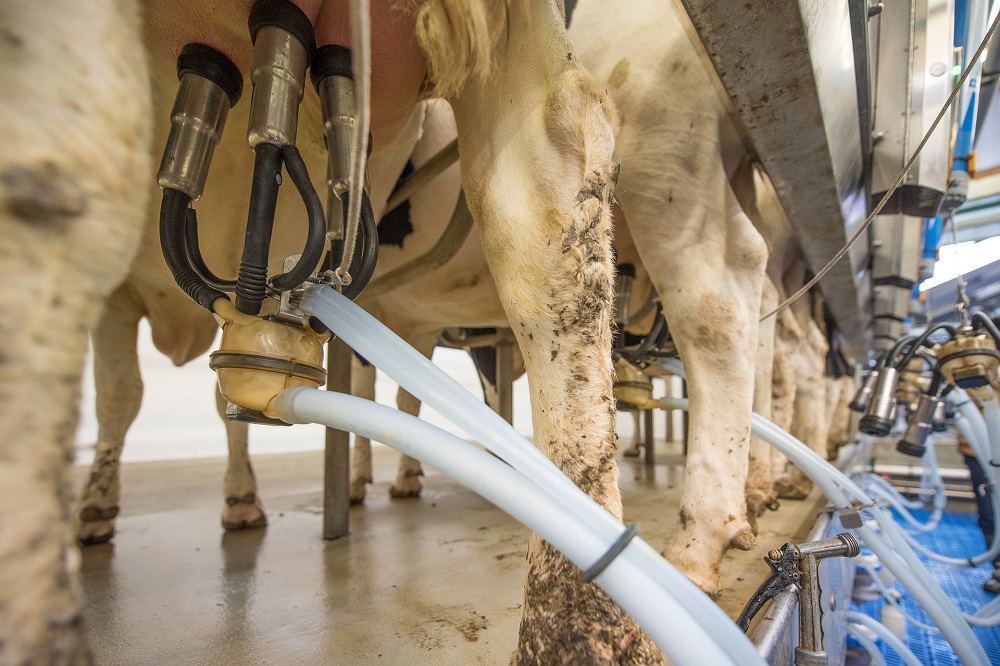 FrieslandCampina-biologische garantieprijs stijgt iets in januari