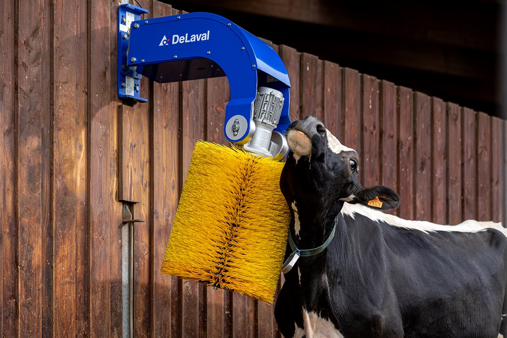 DeLaval verkoopt 100.000 koeborstel en viert dit met een nieuwe versie