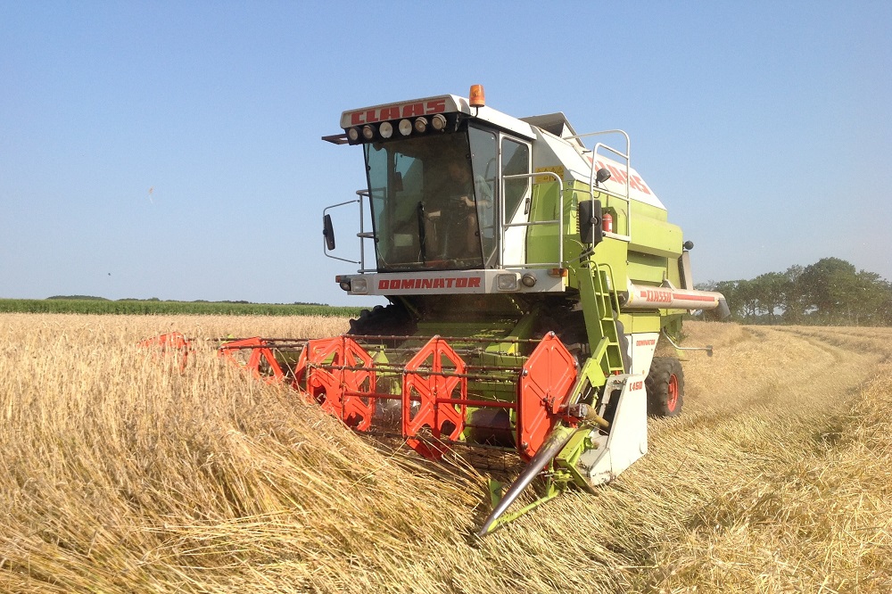 Het nieuwe jaar begint met dalende graanprijzen