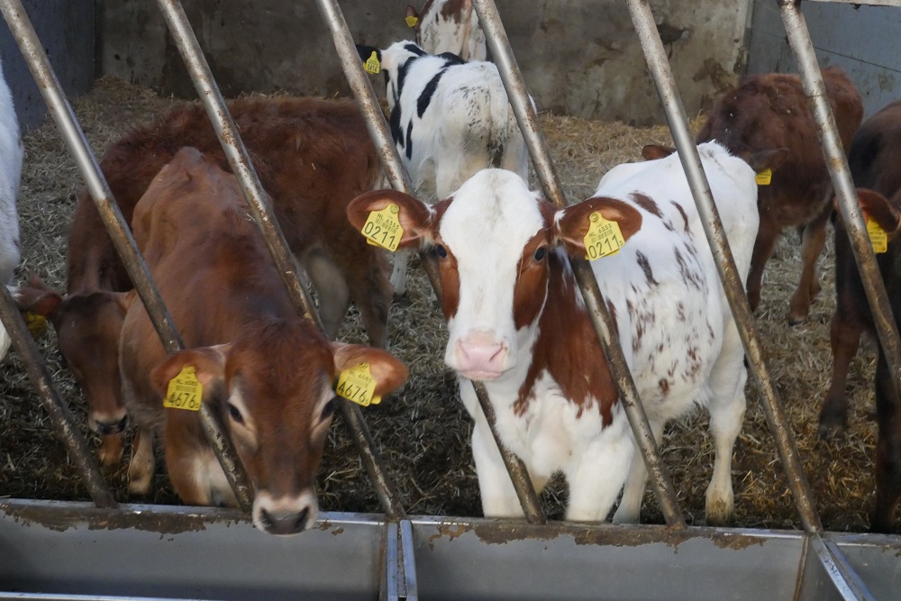 RemonControler Boerderijboiler stille kracht op veelzijdig bedrijf