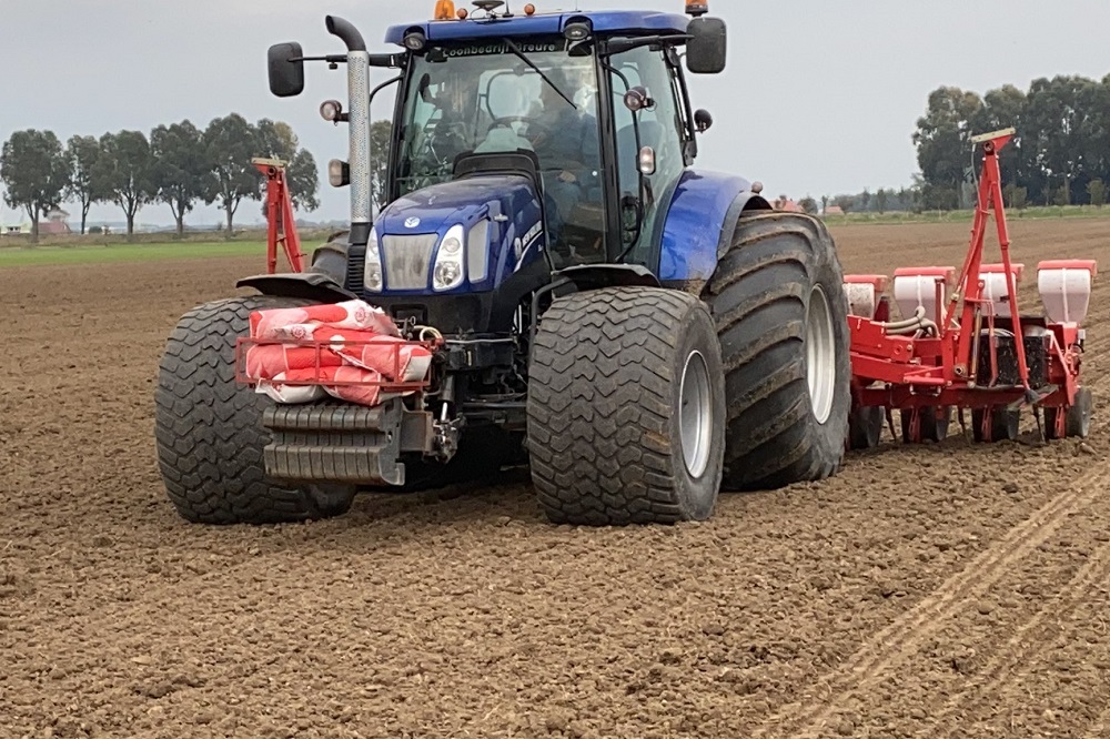 Veldbonen maken soja in mijn rantsoen overbodig