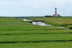 FNP wil landschapsvriendelijk boeren stimuleren