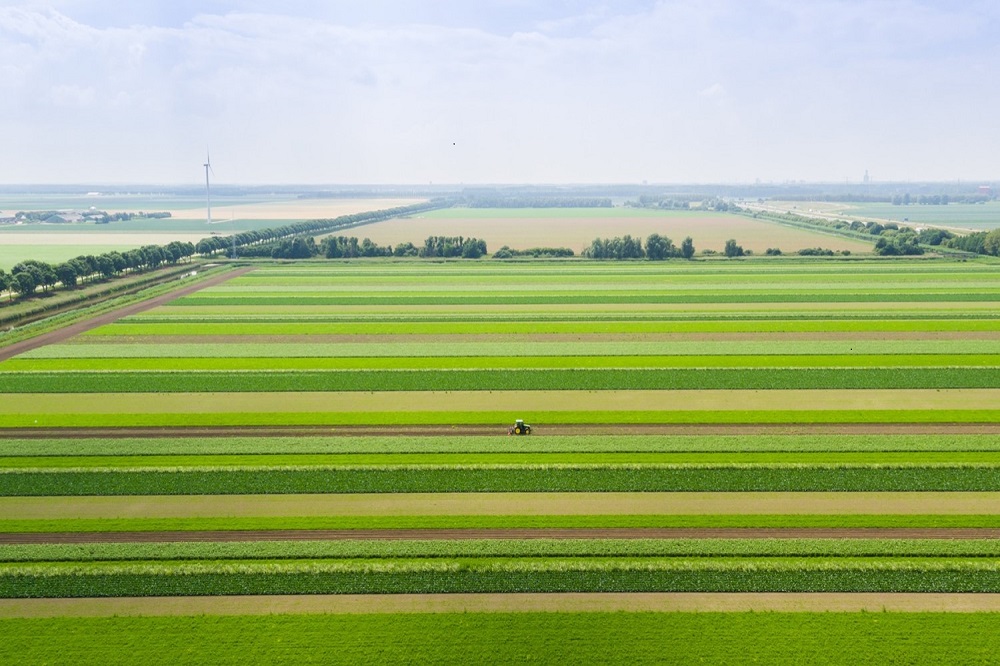 Boeren mogen in deze crisis niet alleen opdraaien voor prijsstijgingen