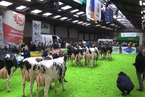 Voorjaarsshow West-Brabant 2022