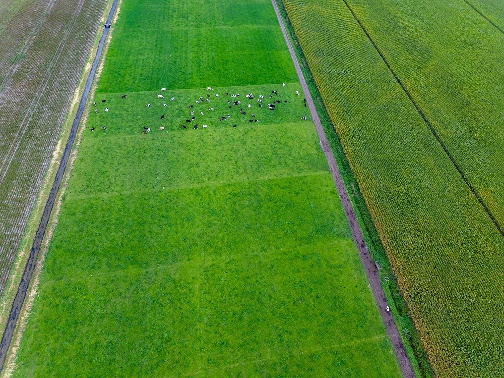 Ik wil het maximale eiwit van eigen land halen