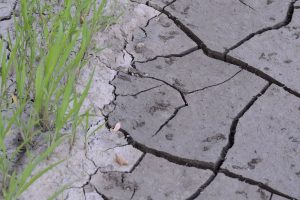 LTO uit zorgen over nieuwe berekening bij droogte- en natschade