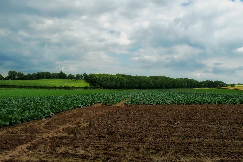 Regeneratieve landbouw