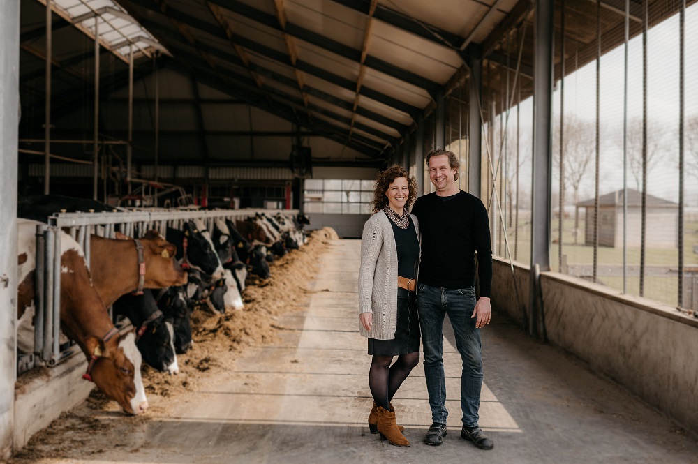 Automatisch melken: ‘Nu kan ik er echt zijn voor het gezin, op de beste momenten’ 