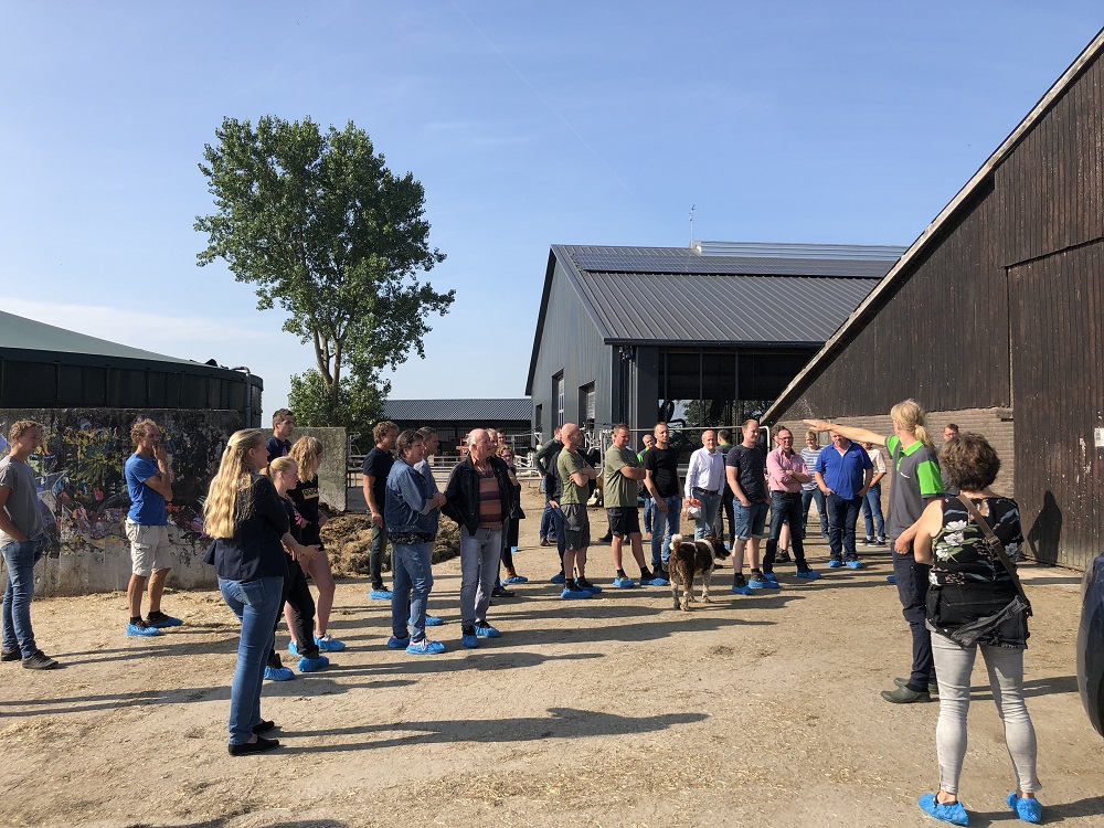 Boeren met Bomen van start: zit er toekomst in Agroforesty?