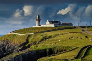 Melkveehouderij in Ierland groeit nog steeds