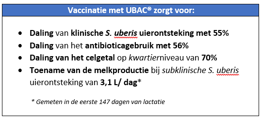 Terugkerende uierontsteking, een frustrerend probleem