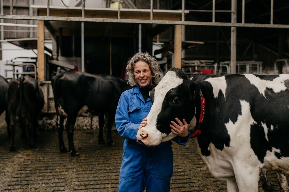 Automatisch melken past prima als je in je eentje een bedrijf runt