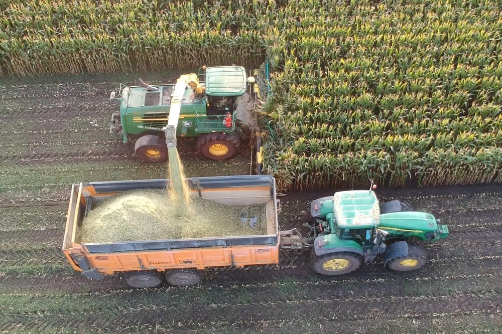 Goede start bij het inkuilen van groot belang