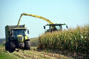 “Mais op juiste moment geoogst dankzij Agrility”