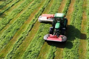 Voederwaarde biologische graskuilen hoger dan vorig jaar