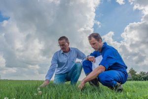 Verdroogde grasmat? Tips om je grasland te beoordelen